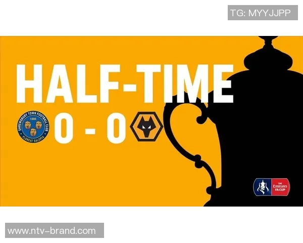 什鲁斯伯里对阵狼队精彩直播全程回顾与赛后分析