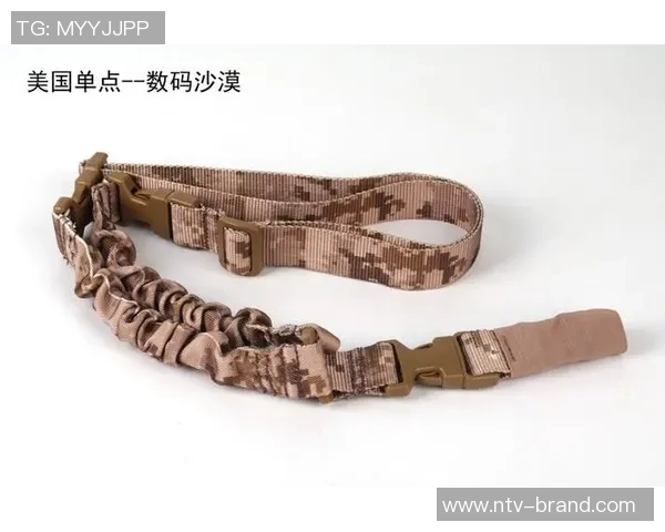 深圳极限运动队战术分析与实践探索的深度研究